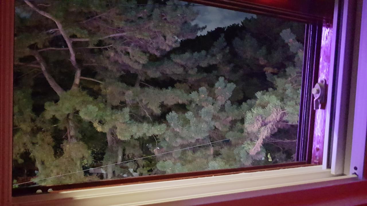 The M Hotel Μπουσάν Εξωτερικό φωτογραφία
